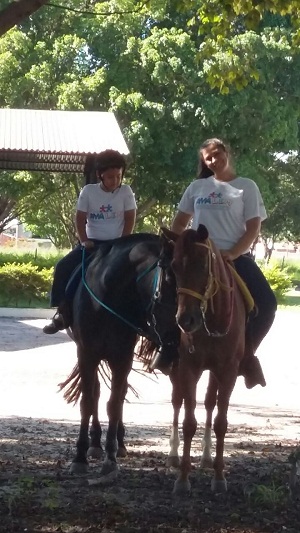 Fonte: a autora